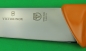 Preview: Swibo Schlacht- und Bankmesser 21 cm / breite Klinge / 5.8431.21